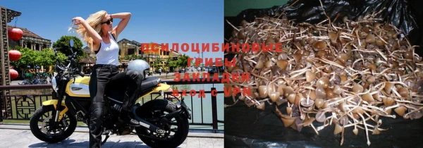 прущая мука Балахна